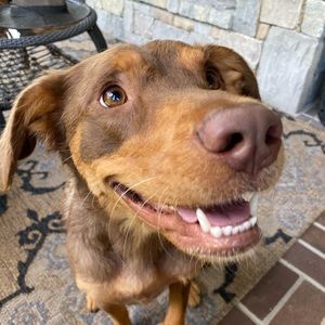 Meet your Posher, Mark